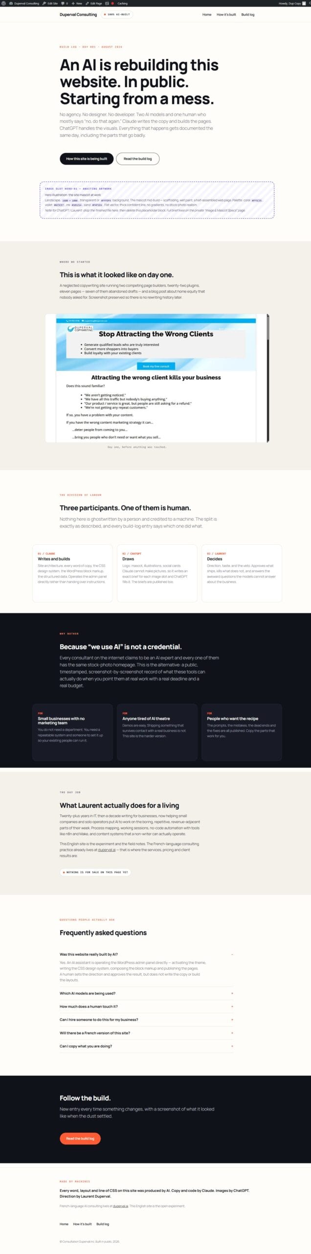 Duperval Consulting homepage before the Melvin hero illustration was installed.